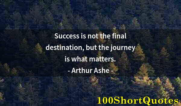 Quote by Albert Einstein: Success is not the final destination, but the journey is what matters.