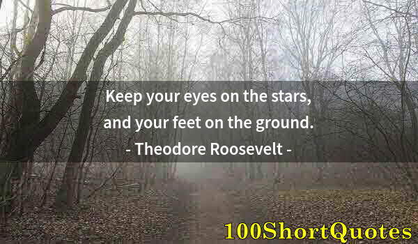 Quote by Albert Einstein: Keep your eyes on the stars, and your feet on the ground.