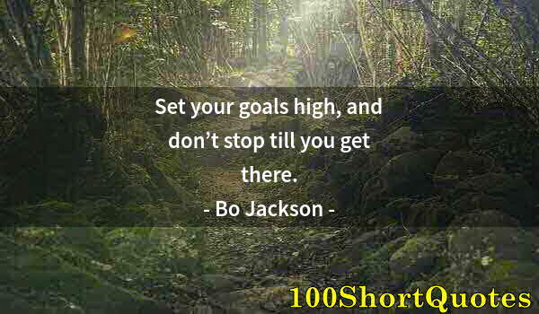 Quote by Albert Einstein: Set your goals high, and don’t stop till you get there.