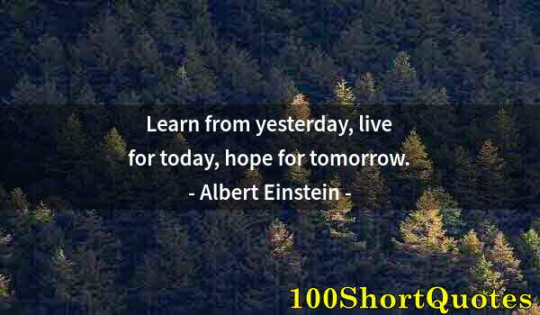 Quote by Albert Einstein: Learn from yesterday, live for today, hope for tomorrow.