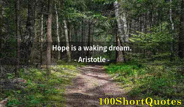 Quote by Albert Einstein: Hope is a waking dream.