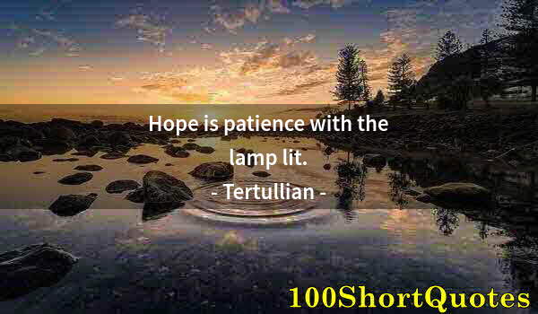 Quote by Albert Einstein: Hope is patience with the lamp lit.