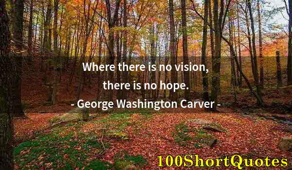 Quote by Albert Einstein: Where there is no vision, there is no hope.