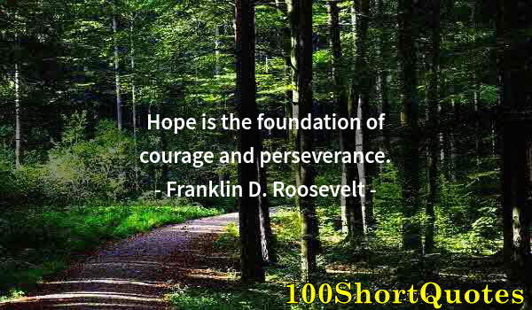 Quote by Albert Einstein: Hope is the foundation of courage and perseverance.