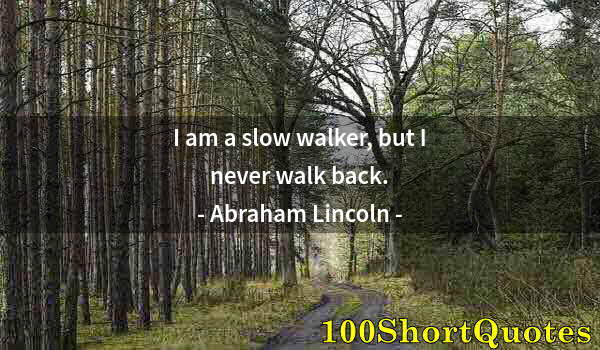 Quote by Albert Einstein: I am a slow walker, but I never walk back.