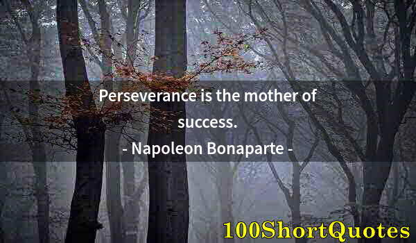 Quote by Albert Einstein: Perseverance is the mother of success.