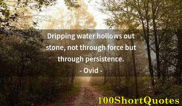 Quote by Albert Einstein: Dripping water hollows out stone, not through force but through persistence.