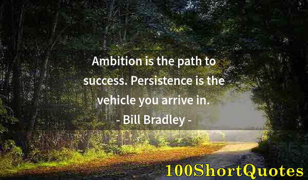 Quote by Albert Einstein: Ambition is the path to success. Persistence is the vehicle you arrive in.