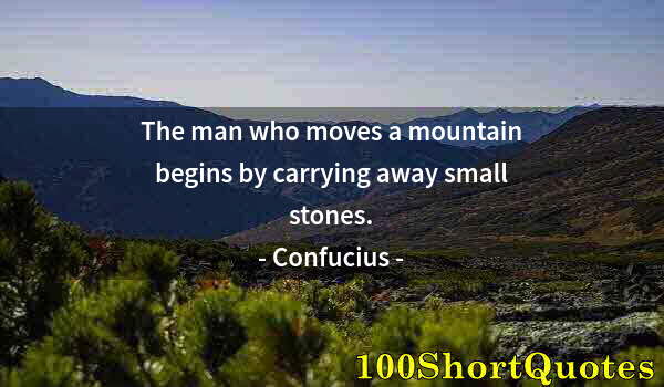 Quote by Albert Einstein: The man who moves a mountain begins by carrying away small stones.