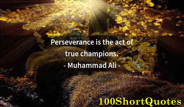 Quote by Albert Einstein: Perseverance is the act of true champions.