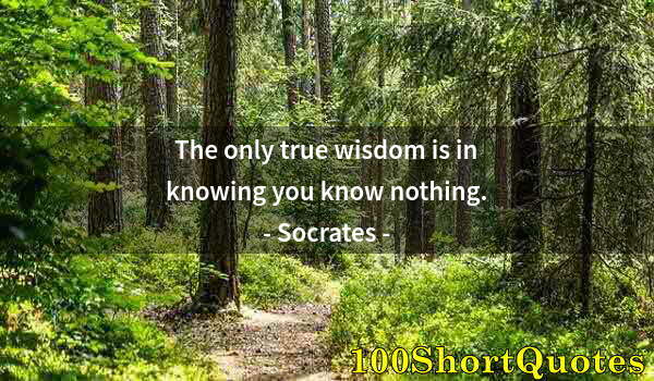 Quote by Albert Einstein: The only true wisdom is in knowing you know nothing.