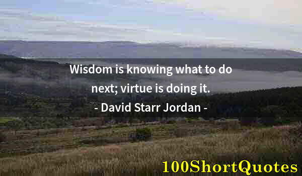 Quote by Albert Einstein: Wisdom is knowing what to do next; virtue is doing it.