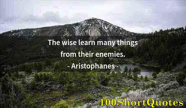 Quote by Albert Einstein: The wise learn many things from their enemies.