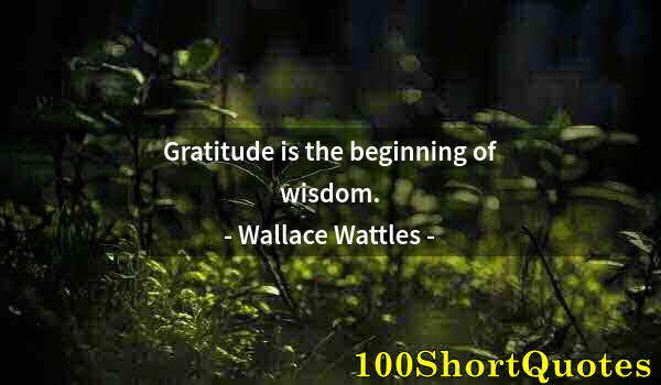 Quote by Albert Einstein: Gratitude is the beginning of wisdom.