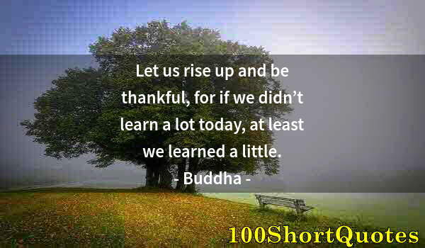 Quote by Albert Einstein: Let us rise up and be thankful, for if we didn’t learn a lot today, at least we learned a little.