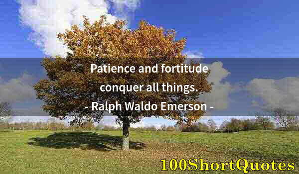 Quote by Albert Einstein: Patience and fortitude conquer all things.