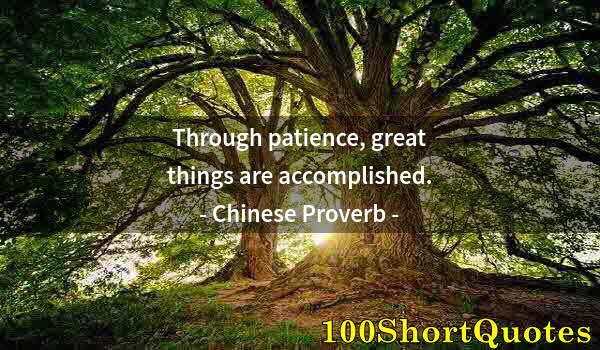 Quote by Albert Einstein: Through patience, great things are accomplished.