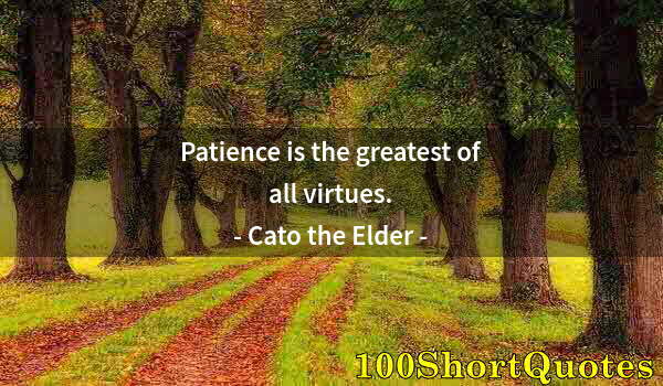 Quote by Albert Einstein: Patience is the greatest of all virtues.