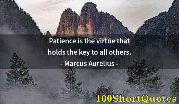 Quote by Albert Einstein: Patience is the virtue that holds the key to all others.