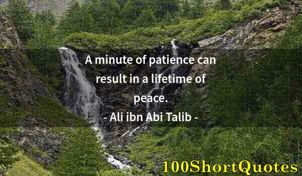 Quote by Albert Einstein: A minute of patience can result in a lifetime of peace.