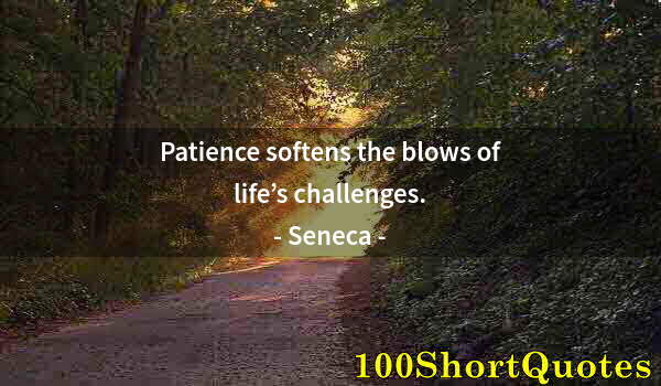 Quote by Albert Einstein: Patience softens the blows of life’s challenges.