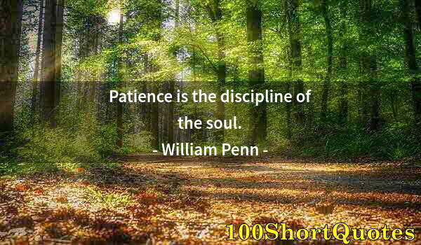 Quote by Albert Einstein: Patience is the discipline of the soul.