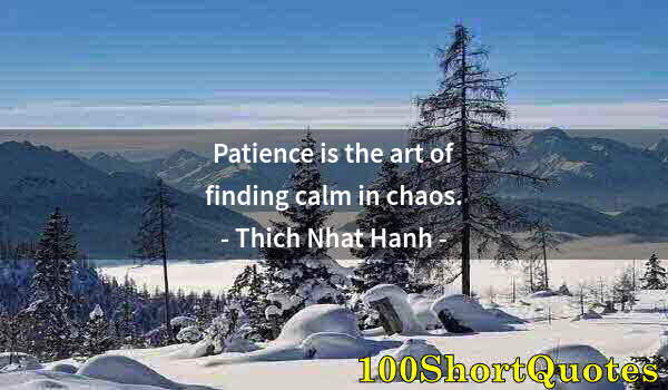 Quote by Albert Einstein: Patience is the art of finding calm in chaos.