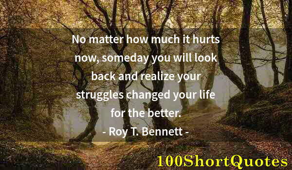 Quote by Albert Einstein: No matter how much it hurts now, someday you will look back and realize your struggles changed your ...