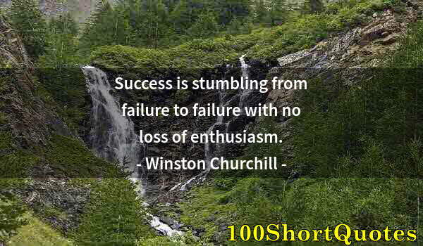 Quote by Albert Einstein: Success is stumbling from failure to failure with no loss of enthusiasm.