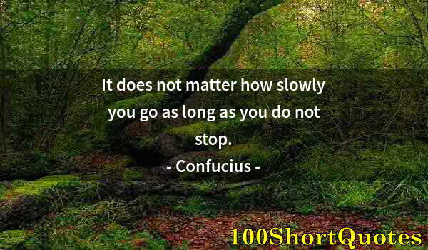 Quote by Albert Einstein: It does not matter how slowly you go as long as you do not stop.