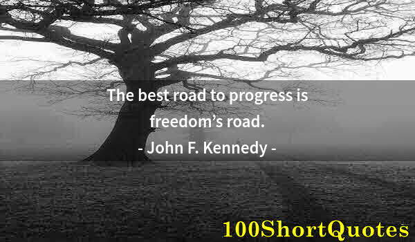 Quote by Albert Einstein: The best road to progress is freedom’s road.