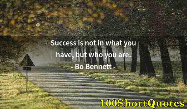 Quote by Albert Einstein: Success is not in what you have, but who you are.