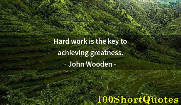 Quote by Albert Einstein: Hard work is the key to achieving greatness.