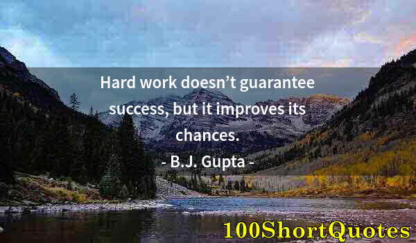 Quote by Albert Einstein: Hard work doesn’t guarantee success, but it improves its chances.