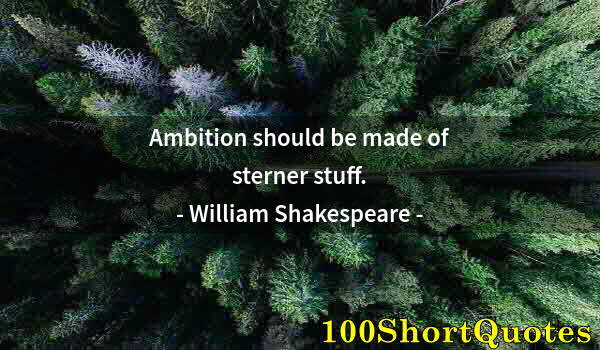 Quote by Albert Einstein: Ambition should be made of sterner stuff.