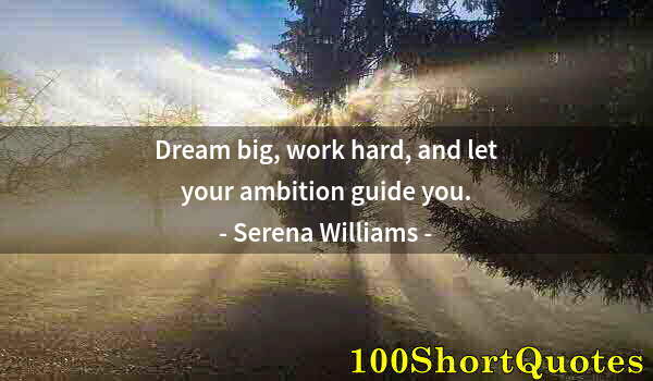 Quote by Albert Einstein: Dream big, work hard, and let your ambition guide you.