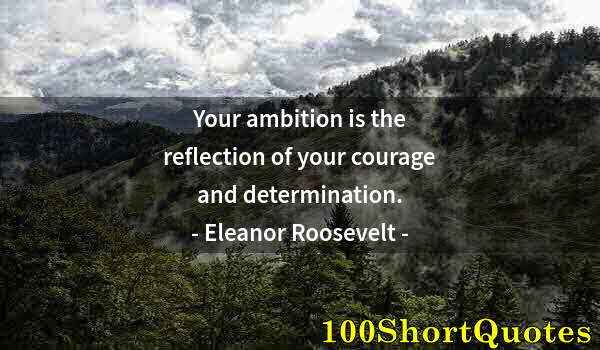 Quote by Albert Einstein: Your ambition is the reflection of your courage and determination.