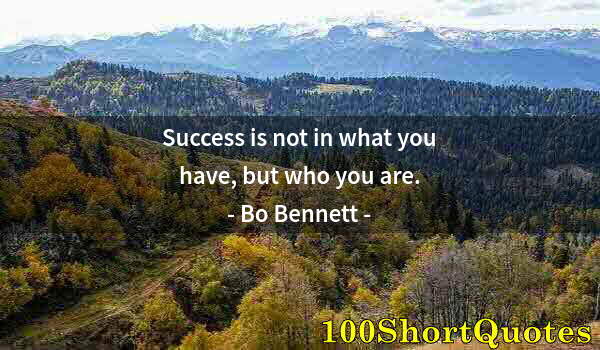 Quote by Albert Einstein: Success is not in what you have, but who you are.