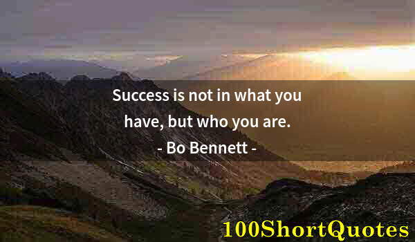 Quote by Albert Einstein: Success is not in what you have, but who you are.