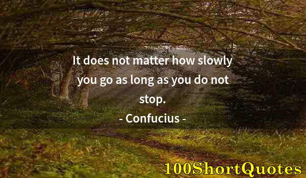 Quote by Albert Einstein: It does not matter how slowly you go as long as you do not stop.