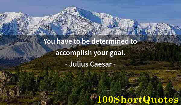 Quote by Albert Einstein: You have to be determined to accomplish your goal.