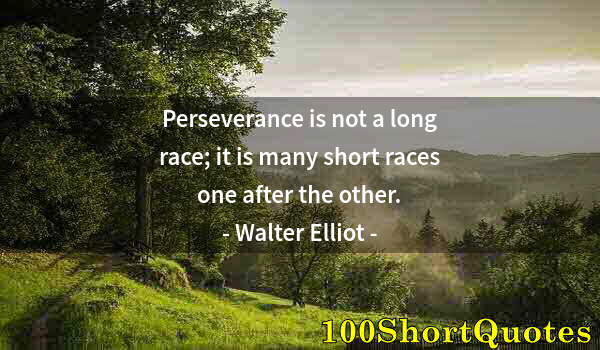 Quote by Albert Einstein: Perseverance is not a long race; it is many short races one after the other.