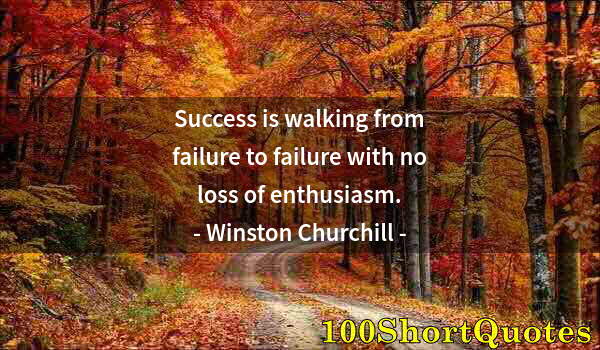 Quote by Albert Einstein: Success is walking from failure to failure with no loss of enthusiasm.