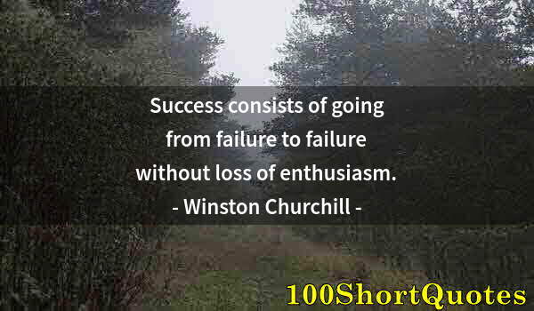 Quote by Albert Einstein: Success consists of going from failure to failure without loss of enthusiasm.