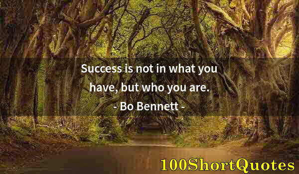 Quote by Albert Einstein: Success is not in what you have, but who you are.