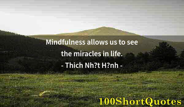 Quote by Albert Einstein: Mindfulness allows us to see the miracles in life.