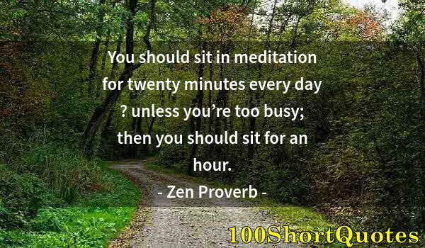 Quote by Albert Einstein: You should sit in meditation for twenty minutes every day ? unless you’re too busy; then you should ...