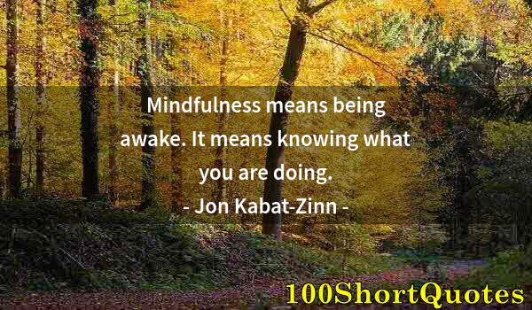 Quote by Albert Einstein: Mindfulness means being awake. It means knowing what you are doing.