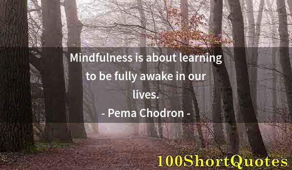 Quote by Albert Einstein: Mindfulness is about learning to be fully awake in our lives.