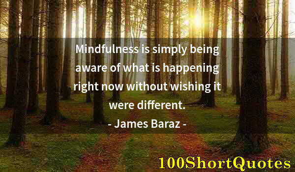 Quote by Albert Einstein: Mindfulness is simply being aware of what is happening right now without wishing it were different.